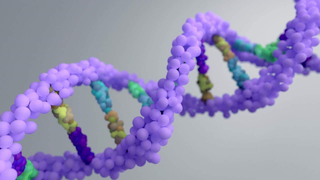 由两条形成双螺旋的链组成的DNA。DNA是细胞内包含遗传信息的分子，负责生物体的发育和功能。视频素材