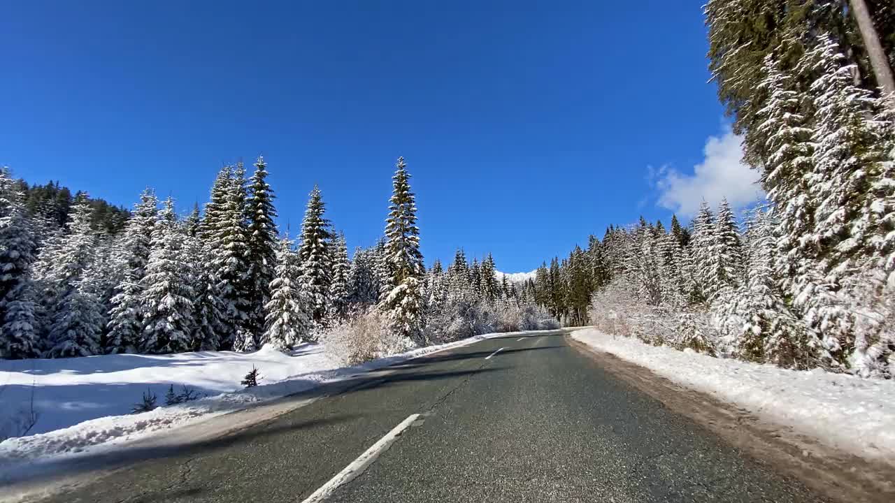 驾车的观点在雪乡公路通过白色的白雪覆盖的森林视频素材