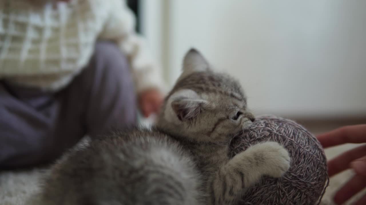 宝宝和小猫玩。Tomcat在地毯上靠近燃烧的壁炉在家里舒适。条纹小猫玩线球。凯蒂跑去看摄像机。快乐可爱的宠物，童年，野性自然的概念视频素材