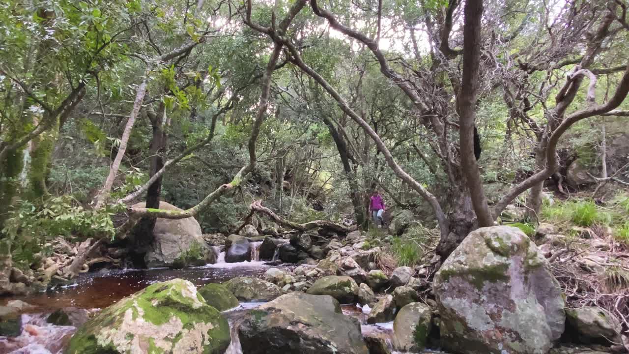 徒步旅行的女人欣赏着大自然的美丽视频素材