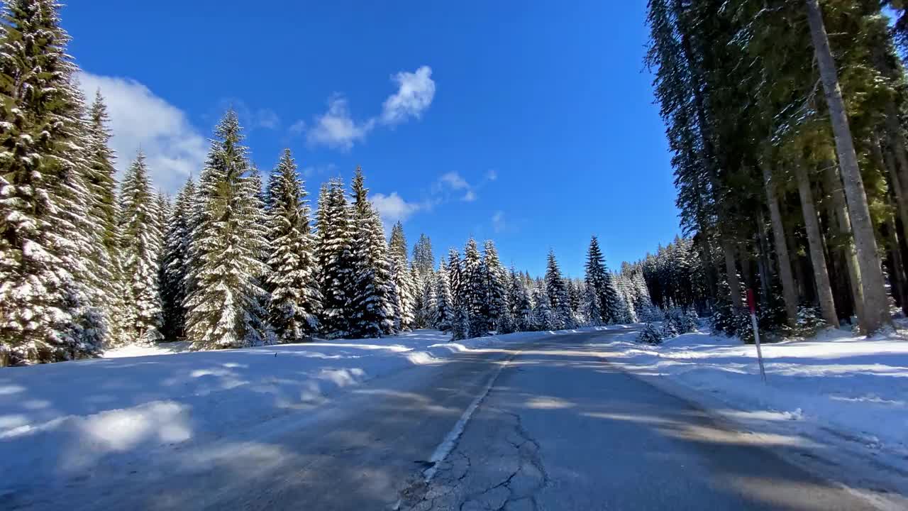 行驶在冰雪覆盖的森林中视频素材