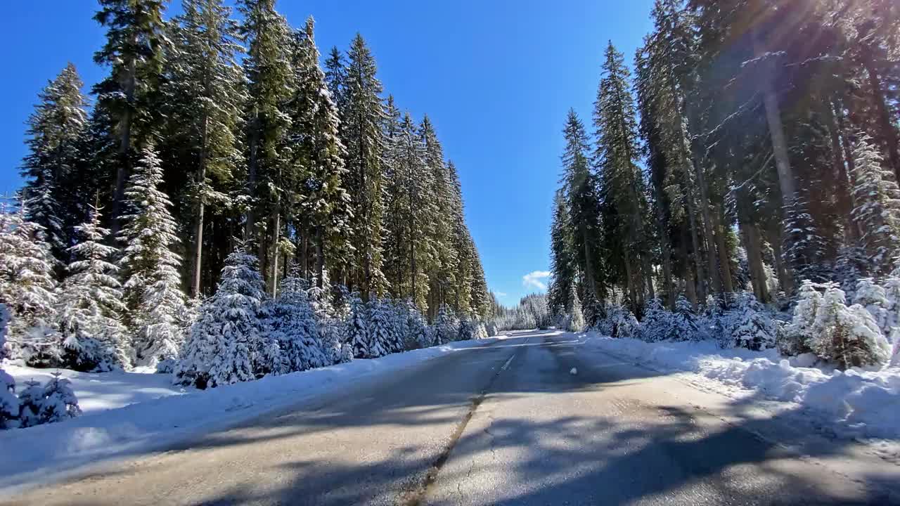 冬天，在白雪皑皑的森林里，行驶在空旷的道路上视频素材