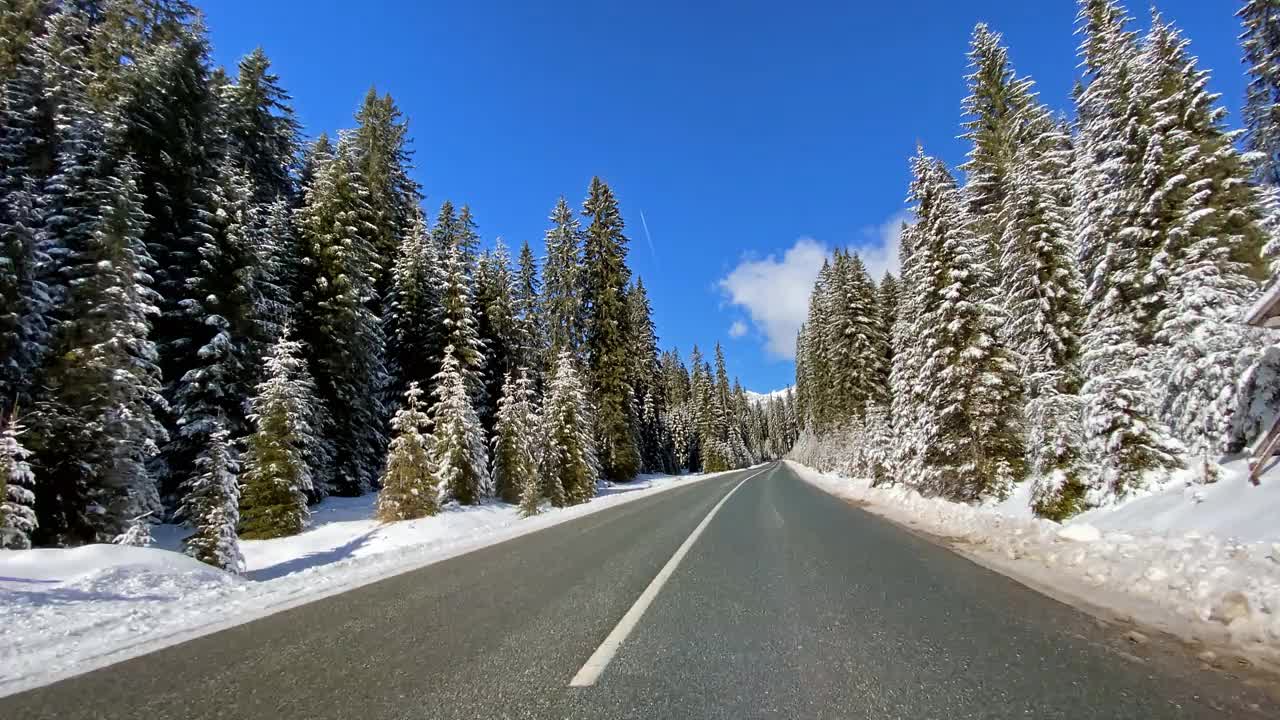 驾车的观点，在雪地的乡村道路穿过雪白的森林视频素材