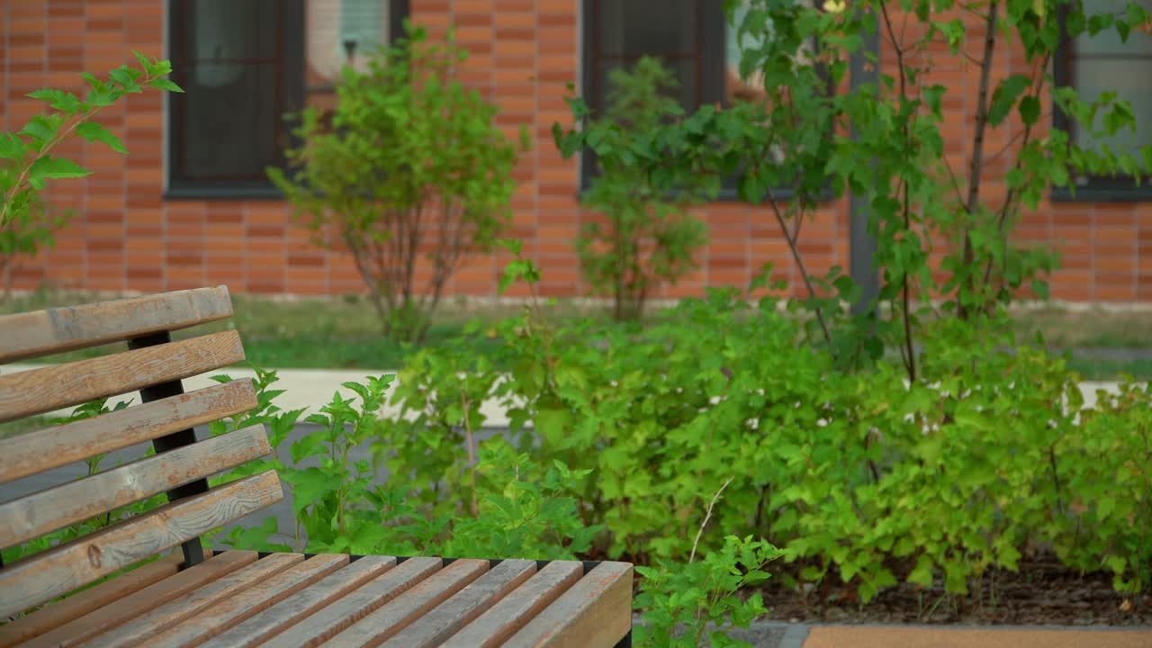 学校打破。笑着的女孩在校园里跑着，脱下背包。教育视频素材