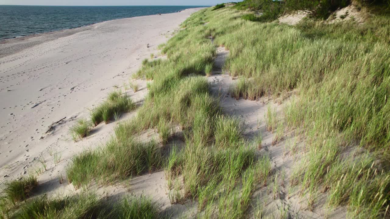 鸟瞰图。波罗的海沿岸风景如画。夏日和荒凉的海滩视频素材