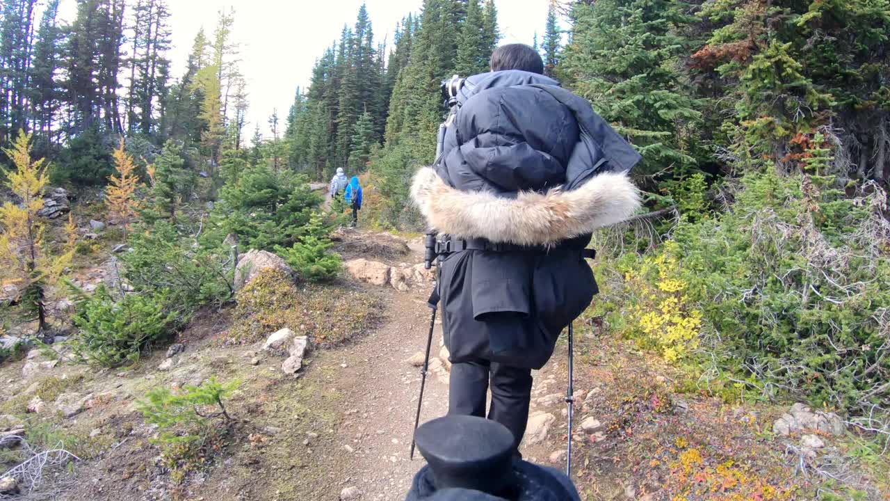 一群旅行者在国家公园秋天森林的山上徒步旅行视频素材