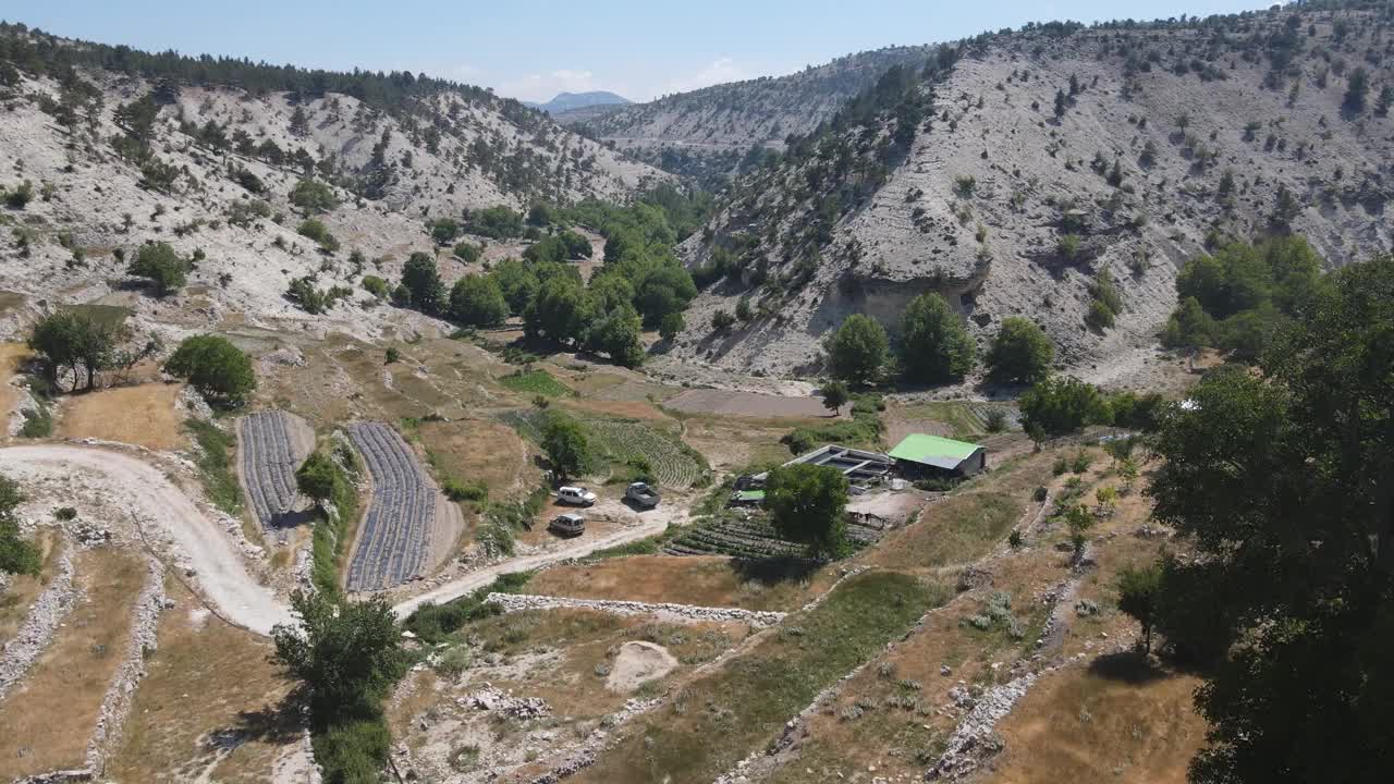 山谷农业植树航拍图像视频素材