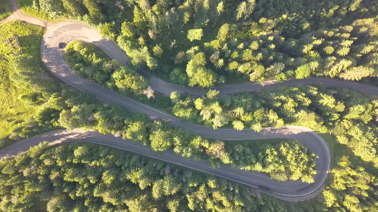 鸟瞰图的蜿蜒的道路与割草汽车和卡车在高山口，槽茂密的树林。视频素材