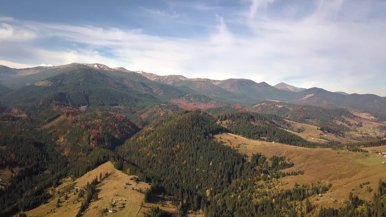 鸟瞰秋天的山景常绿的松树和黄色的秋天森林与雄伟的山脉在远处。视频素材