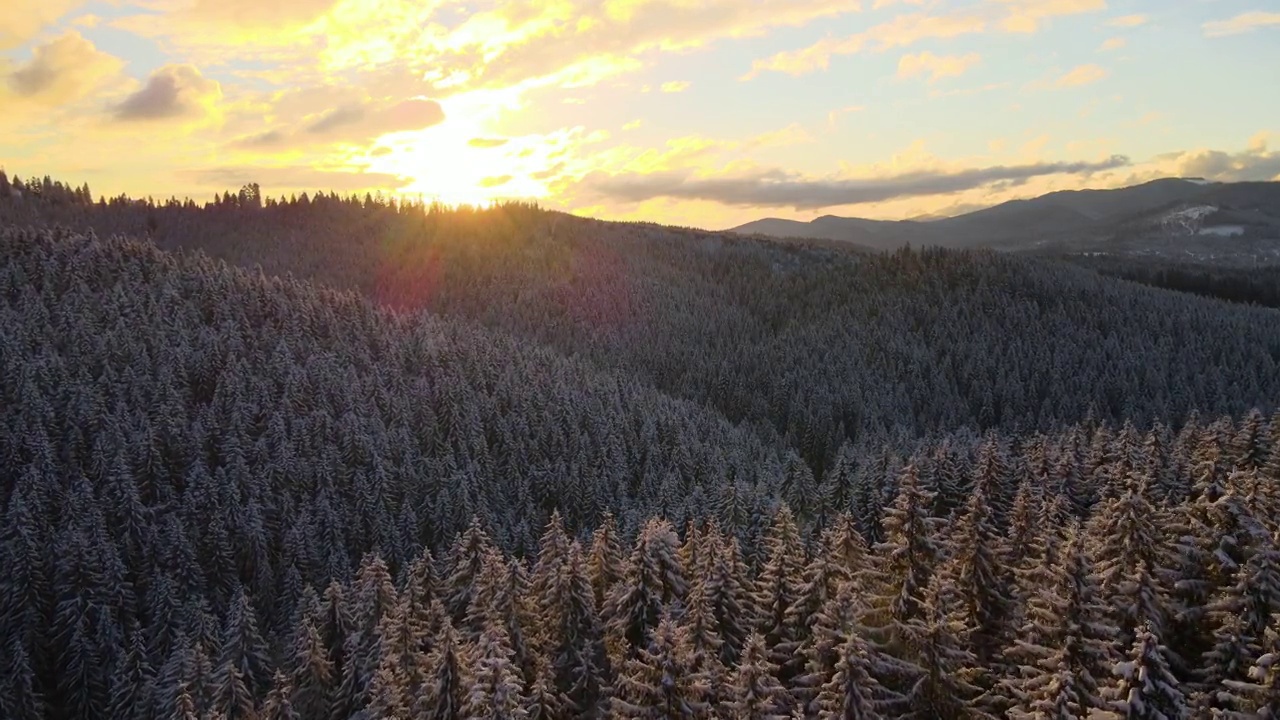 空中冬季景观与云杉树的雪覆盖森林在寒冷的山在晚上。视频素材