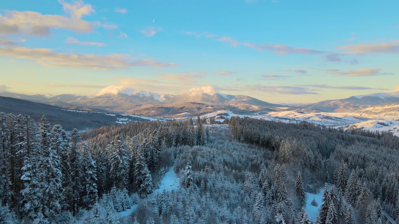 空中冬季景观与云杉树的雪覆盖森林在寒冷的山在晚上。视频素材