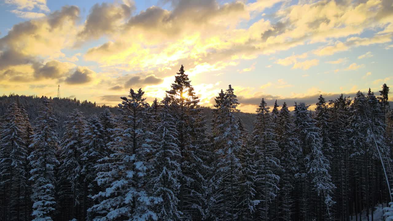 空中冬季景观与云杉树的雪覆盖森林在寒冷的山在晚上。视频素材