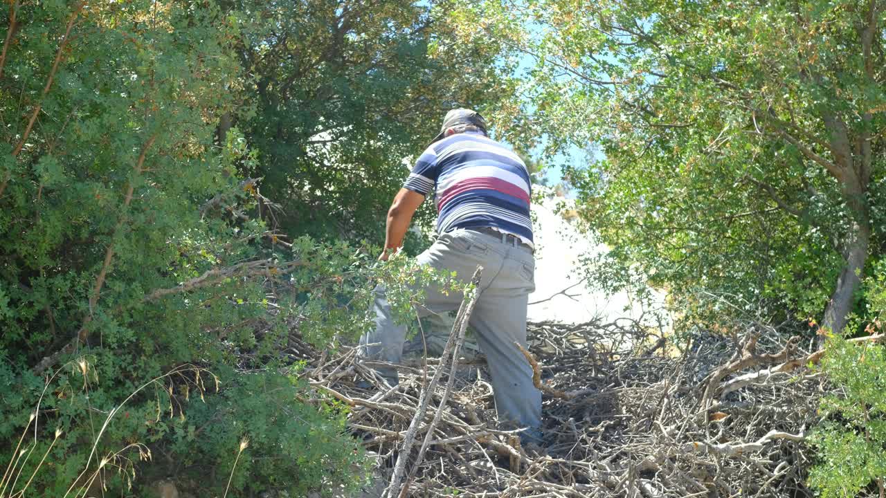 人们在乡村用电锯砍柴视频素材