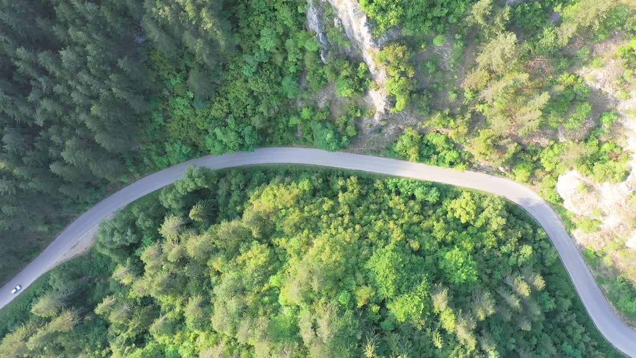 穿越森林的公路旅行视频素材