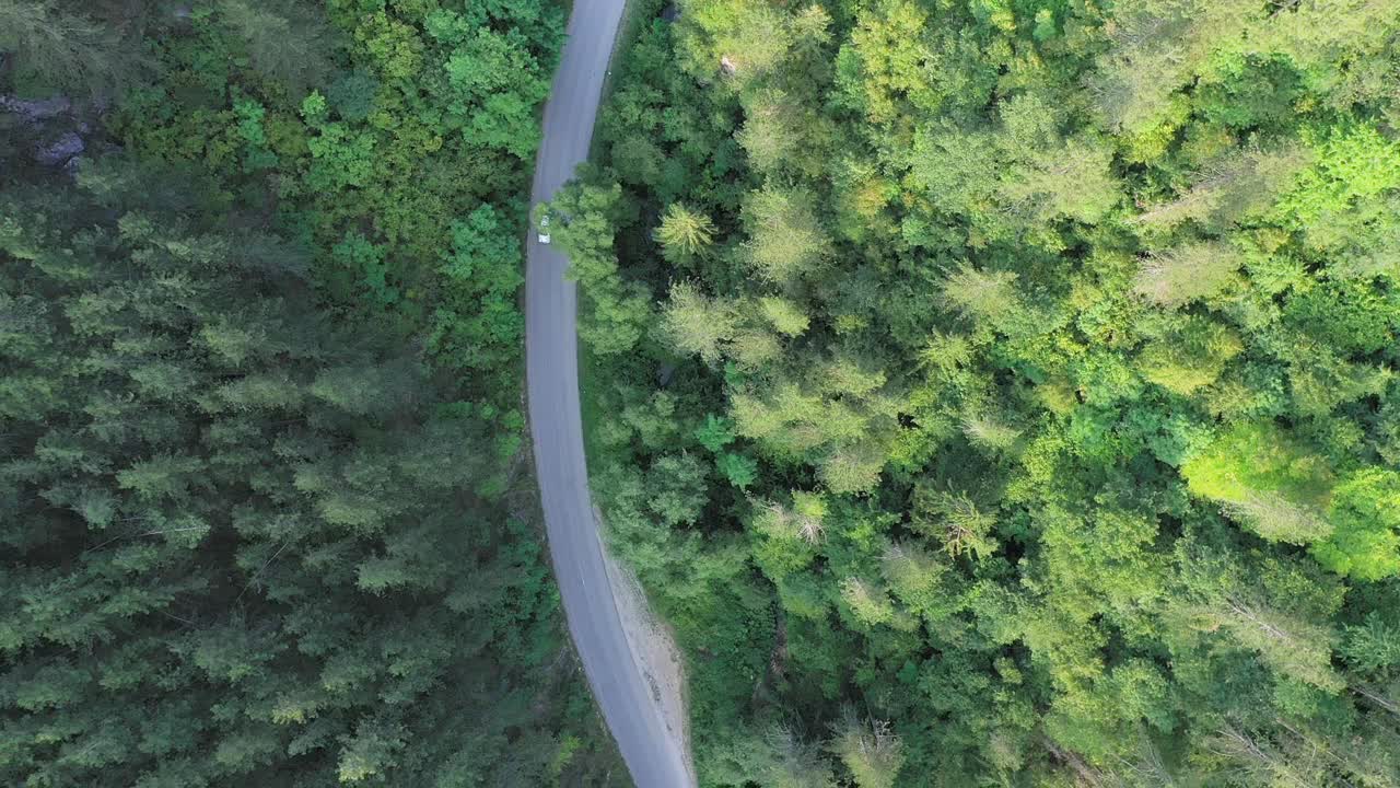 穿越森林的公路旅行视频素材