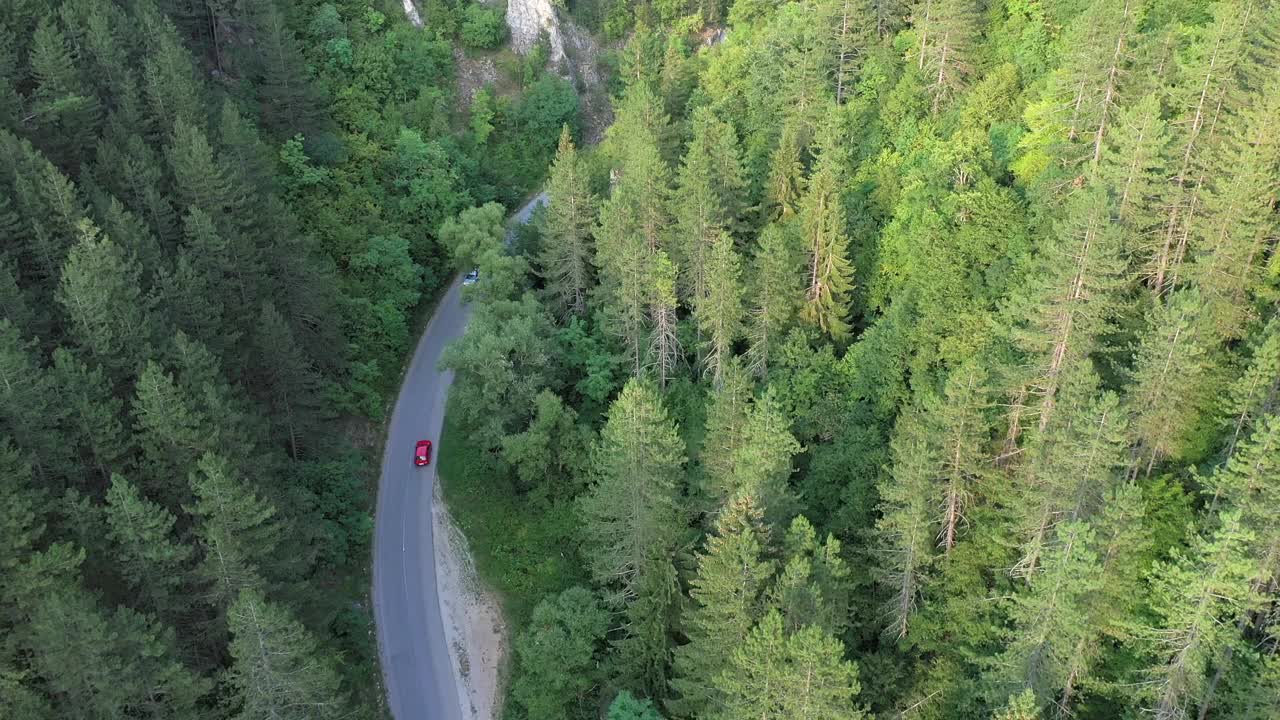 穿越森林的公路旅行视频素材