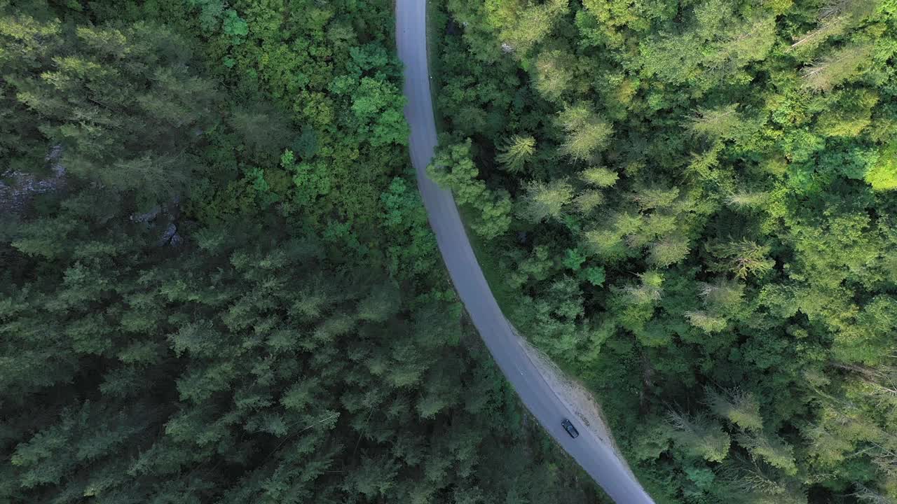 穿越森林的公路旅行视频素材