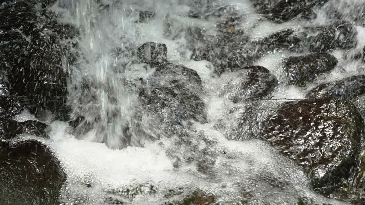 水落在爱沙尼亚森林里的大岩石上视频素材