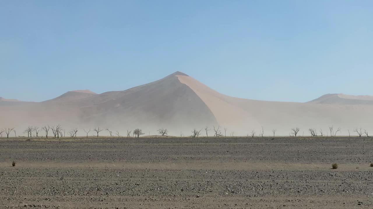 沙尘暴大沙丘和干燥的树木在沙漠景观视频素材