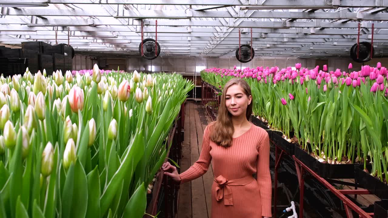 女孩穿着棕色的裙子在郁金香花房里摆姿势视频下载