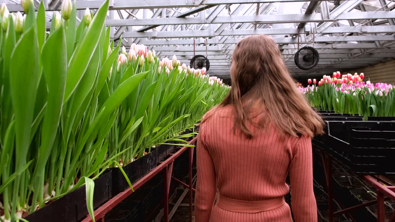 女孩穿着棕色的裙子在郁金香花房里摆姿势视频素材