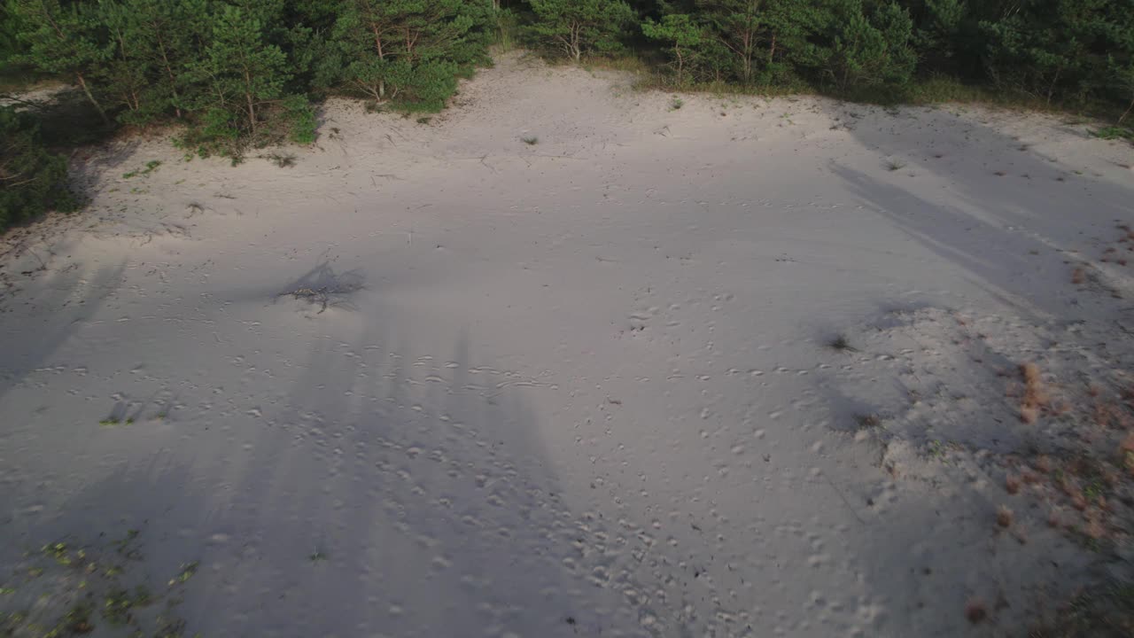 库尔尼亚角海滩壮丽的景观。画面中的波罗的海海岸和森林视频素材