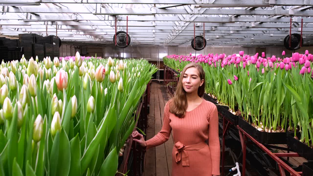 女孩穿着棕色的裙子在郁金香花房里摆姿势视频下载