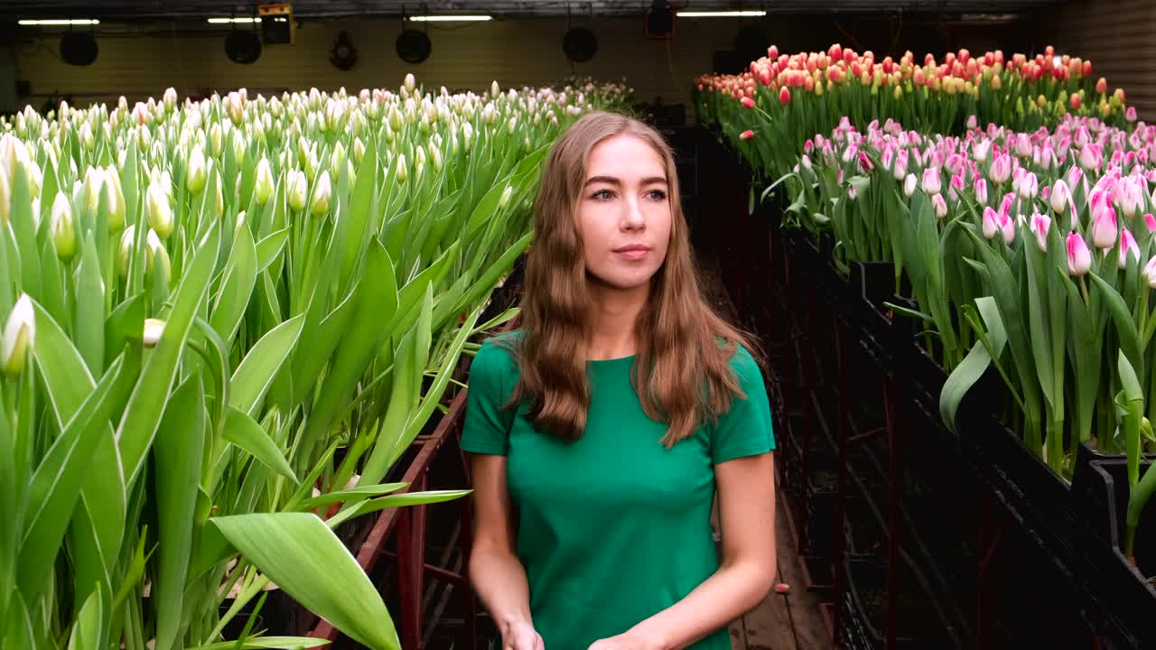 穿着绿色衣服的女孩在郁金香花房里工作视频素材