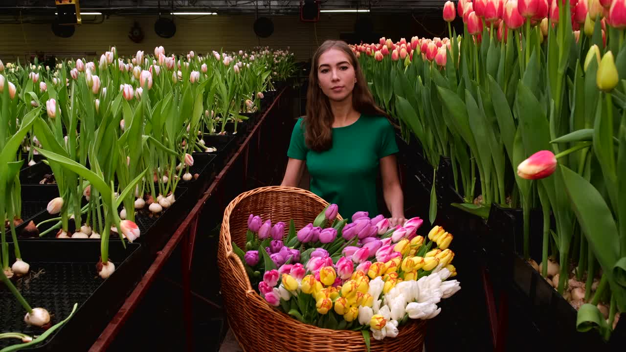 穿着绿色衣服的女孩在郁金香花房里工作视频下载