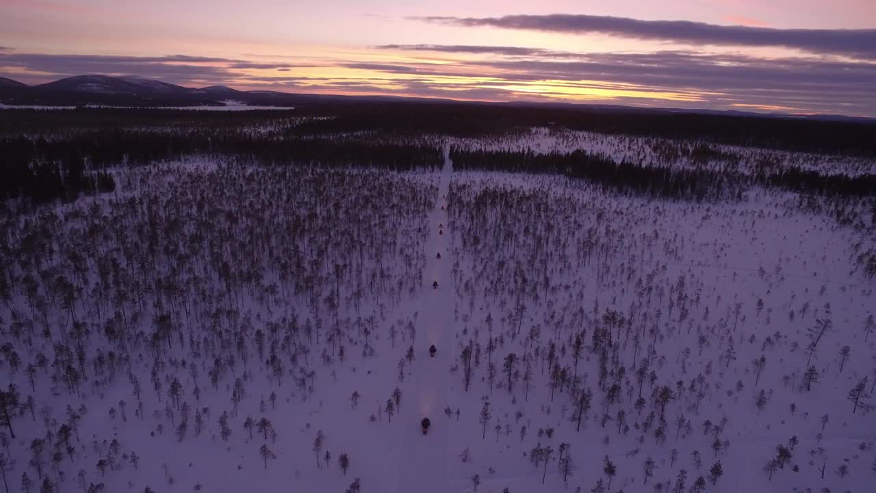 雪地摩托骑手通过森林鸟瞰图视频素材