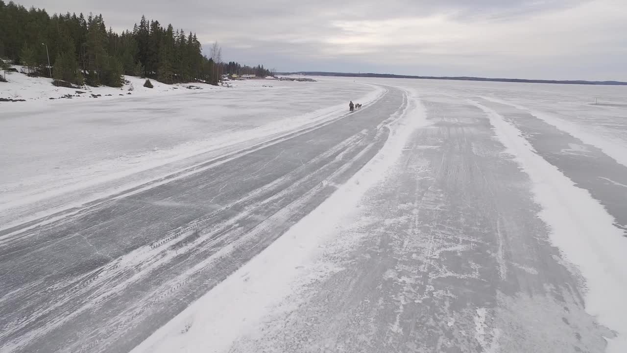 冰湖上的狗拉雪橇视频素材