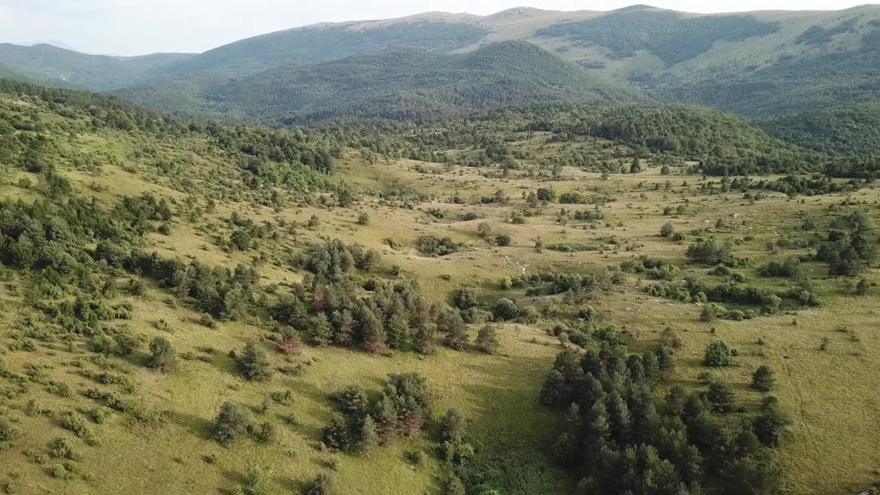 飞过草地和森林小山视频素材