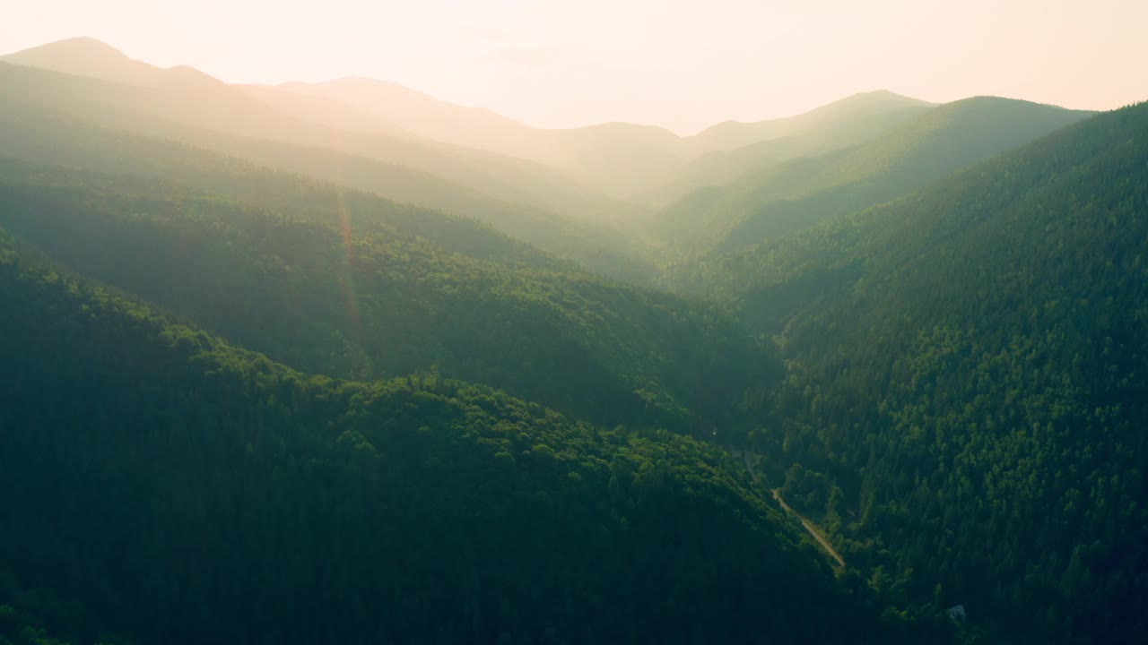 山山谷山树木森林松树太阳日落自然植物视频素材