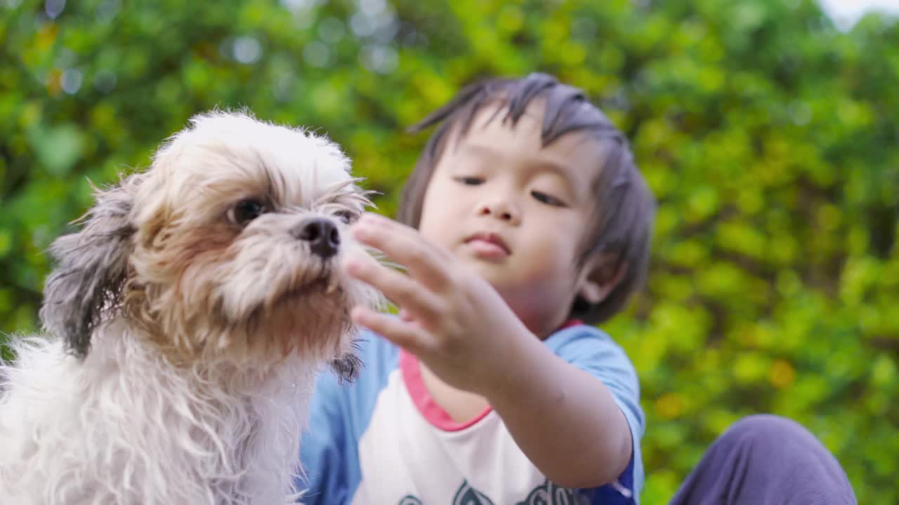 刚学步的男孩淋浴后坐在桌子上，旁边放着西施犬视频素材