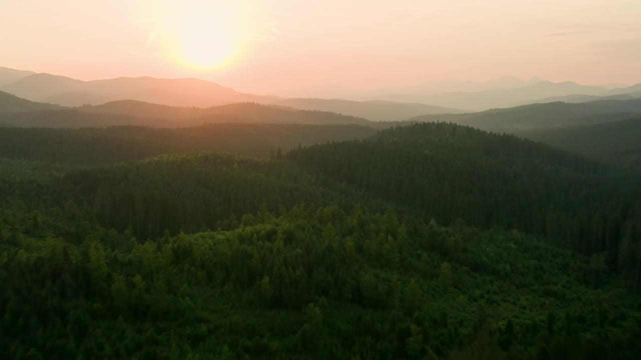 山山谷山树木森林松树太阳日落自然植物视频素材