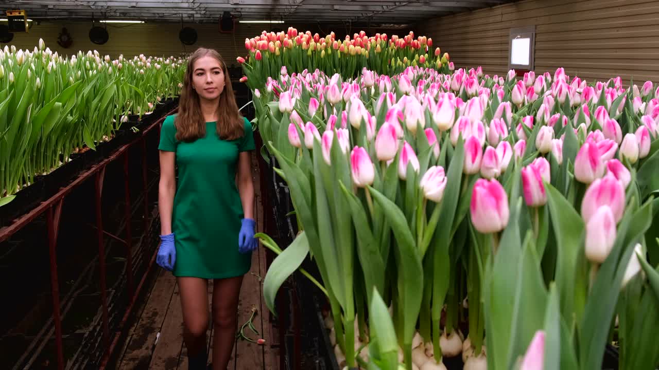 穿着绿色衣服的女孩在郁金香花房里工作视频下载