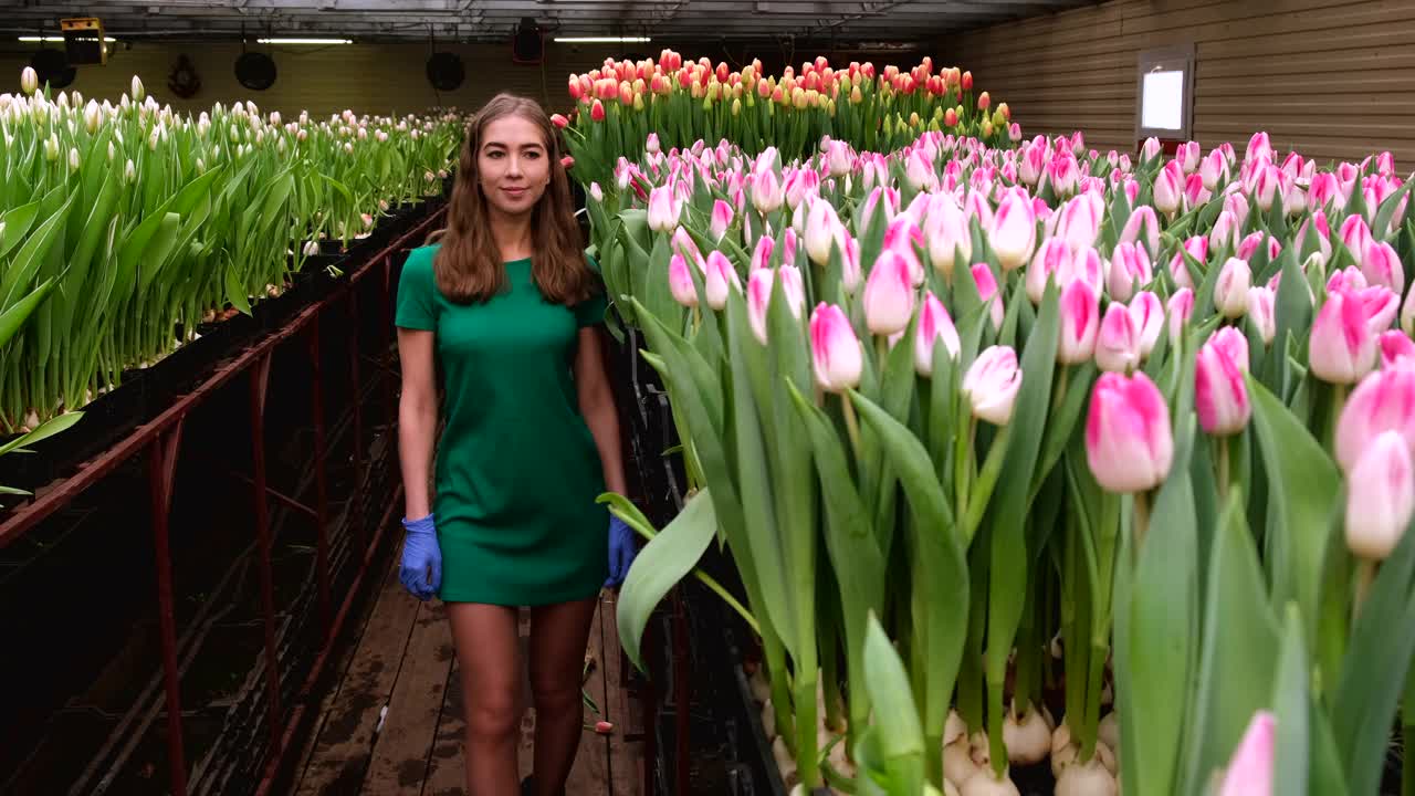 穿着绿色衣服的女孩在郁金香花房里工作视频下载