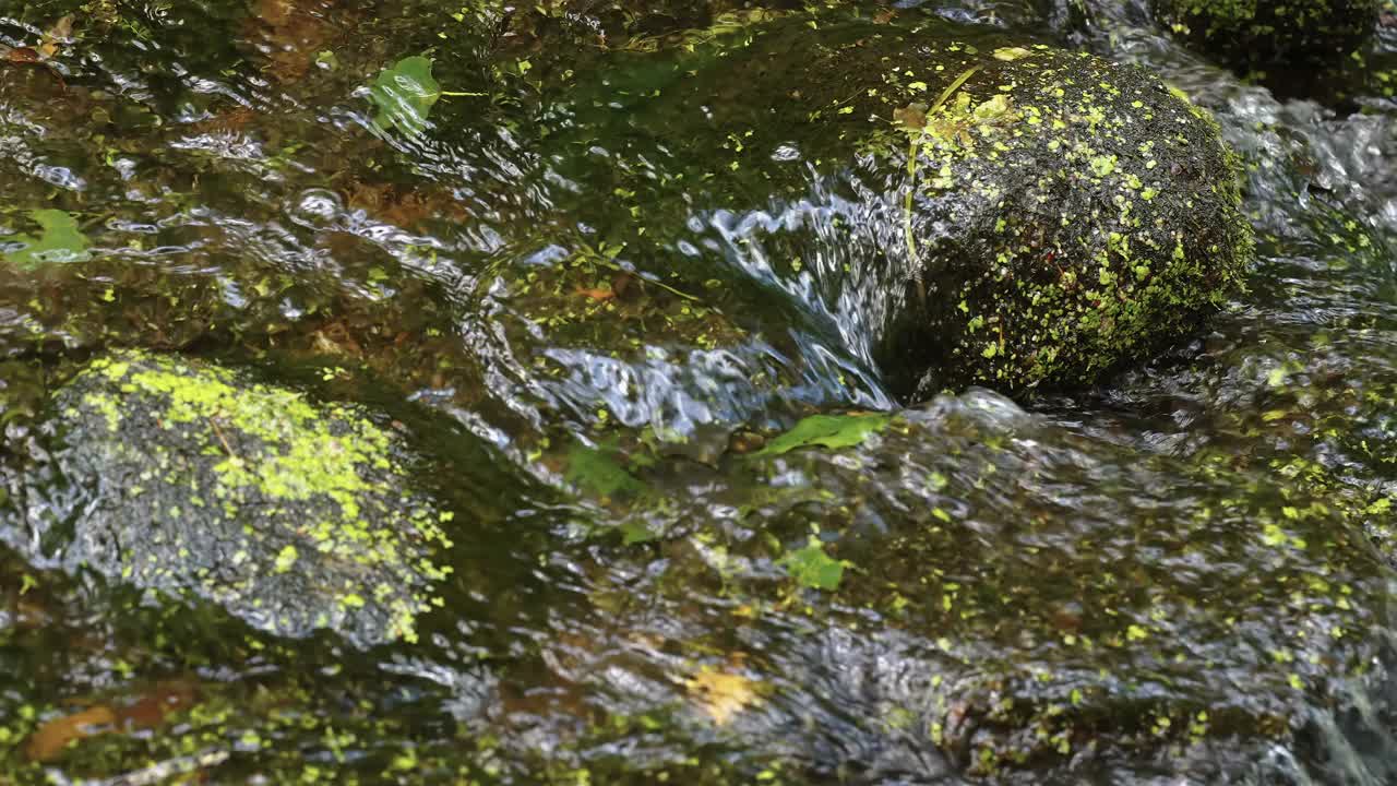 在爱沙尼亚，河水在岩石上流动视频素材