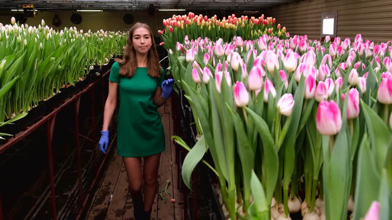 穿着绿色衣服的女孩在郁金香花房里工作视频下载