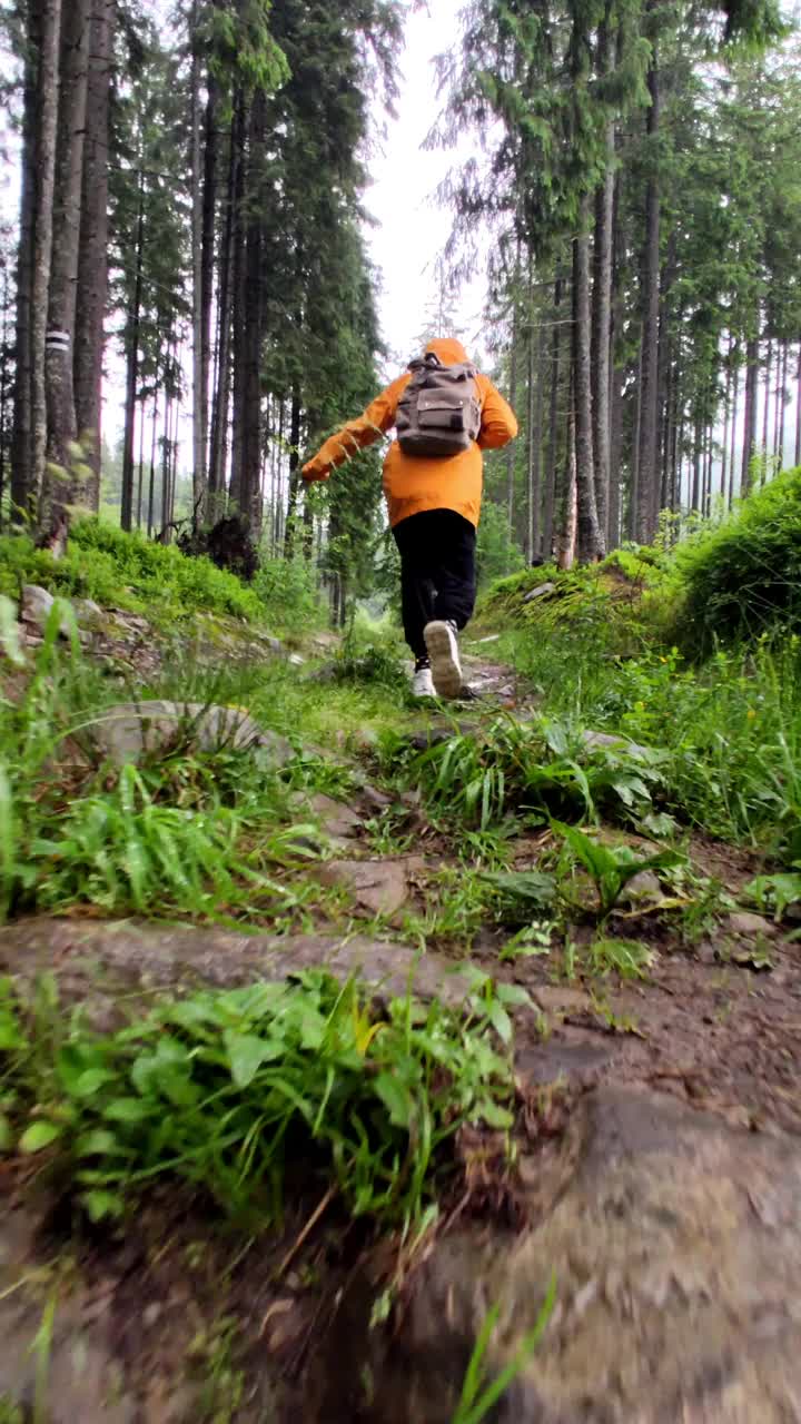 穿黄色雨衣的妇女在森林小径徒步旅行视频素材