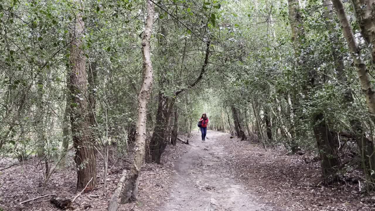 一个女人走在树林里。系列的一部分。视频素材