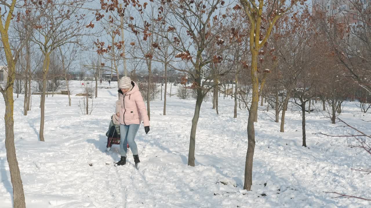 雪橇在雪道上行走。视频素材