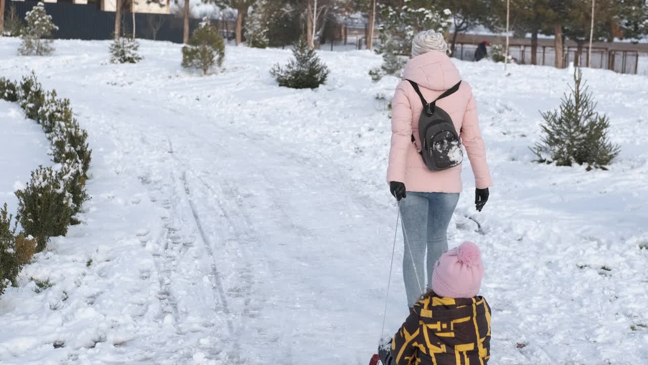 圣诞假期带着雪橇。视频素材