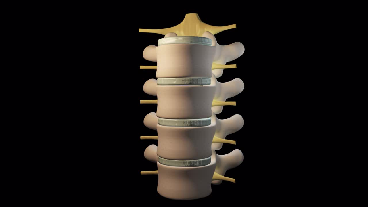 脊柱部分运动视频素材
