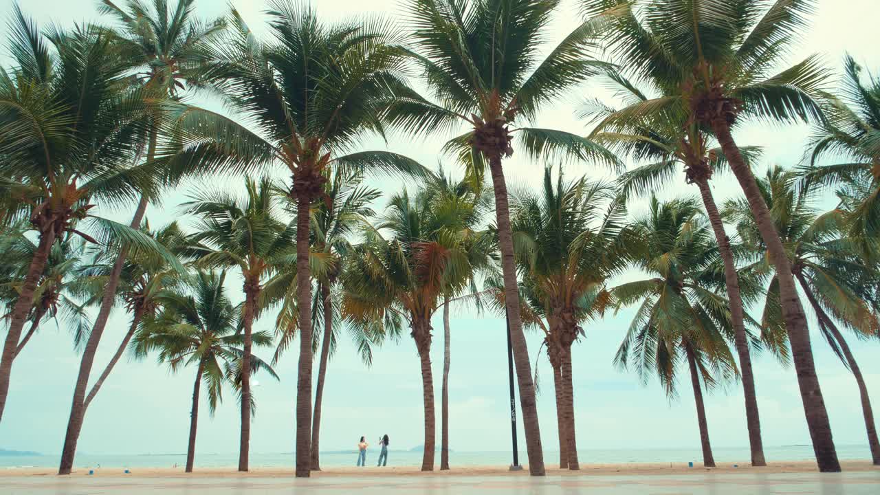 热带沙滩与椰子树在日落，夏天的背景视频素材