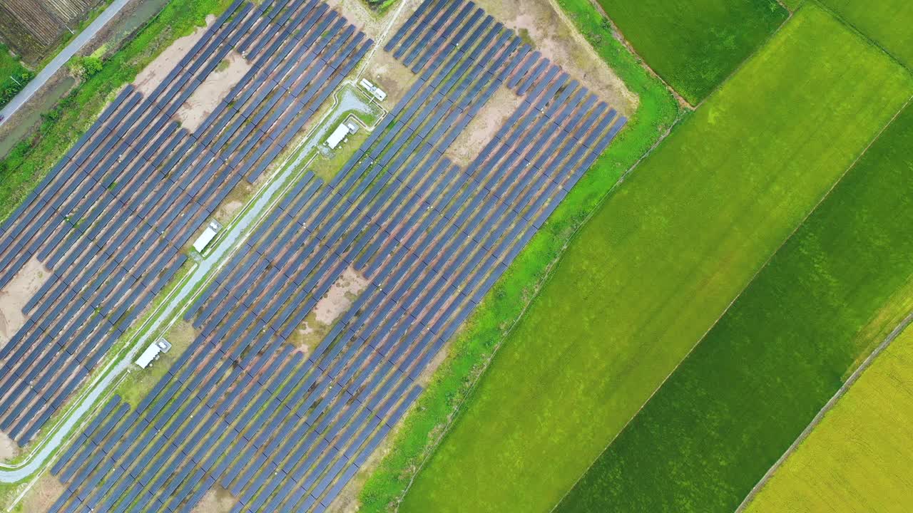 4k分辨率空中俯瞰放大在sola农场和windyon水稻叶在农村的场景。可持续的生活概念。视频素材