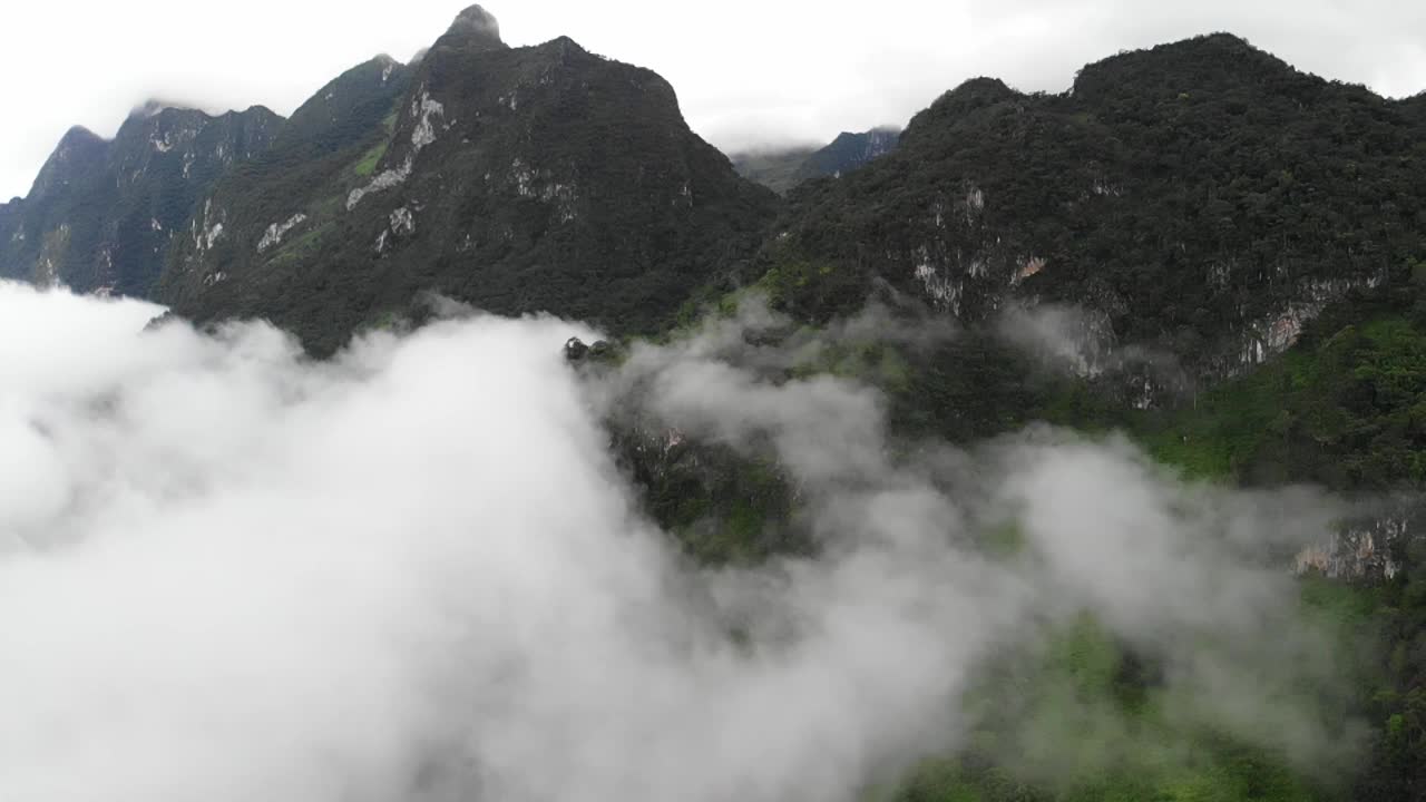 云杉森林树木在雾天山上的航拍镜头。晨雾在美丽的秋天森林。视频素材