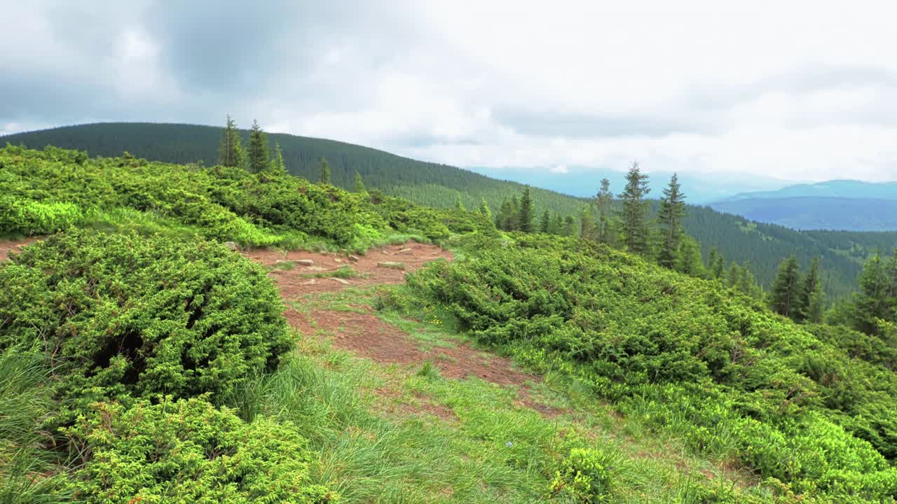 背景森林山脉多云天气云视频素材