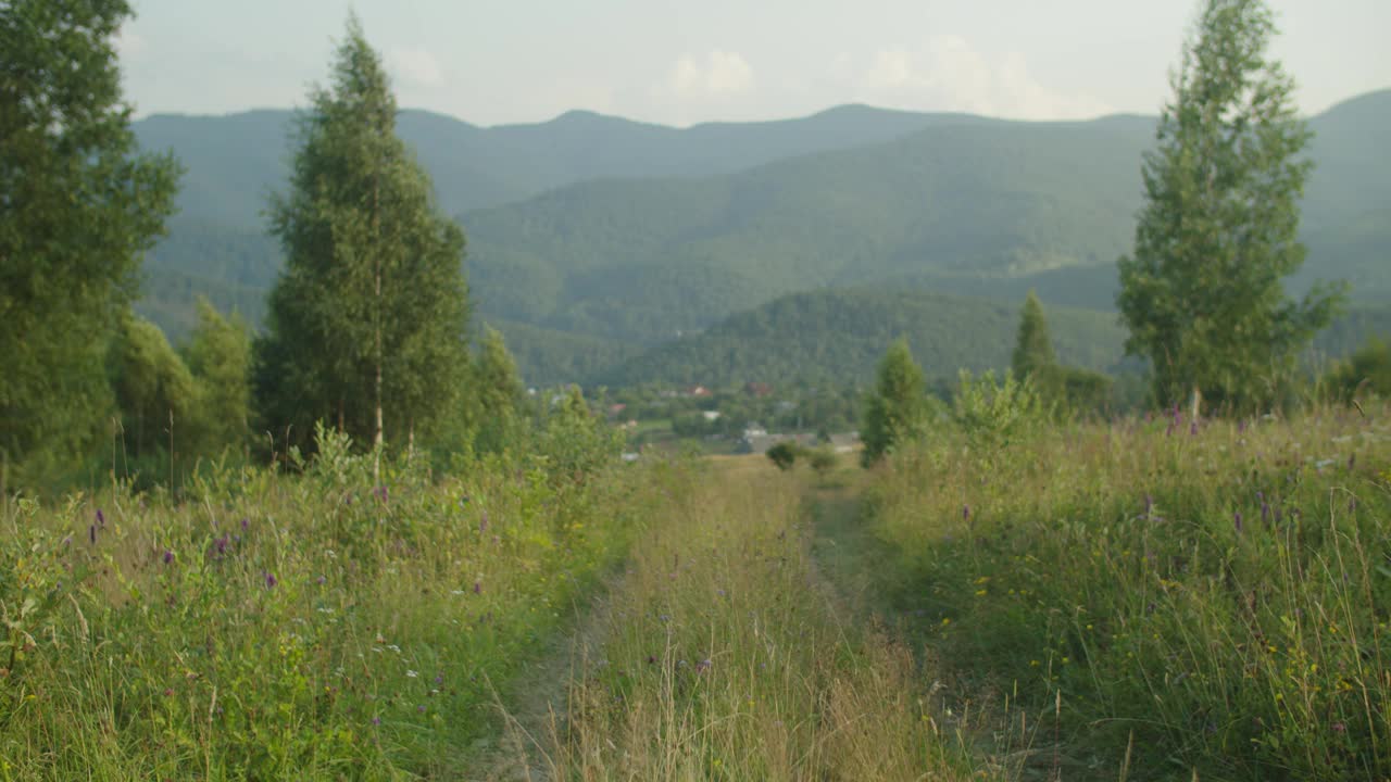 各种各样的多种族游客背着背包和登山杆下行的山路视频素材