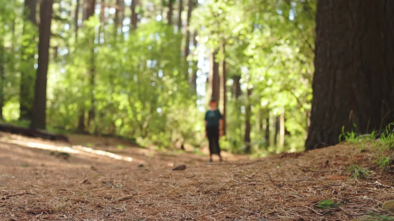 穿着运动服的健美女子沿着风景优美的森林小径奔跑视频素材